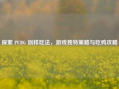 探索 PUBG 别样吃法，游戏独特策略与吃鸡攻略