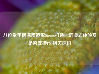 八位堂手柄深度适配Steam打造PC沉浸式体验及是否支持PS5相关探讨