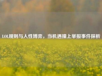 LOL规则与人性博弈，当机遇撞上举报事件探析