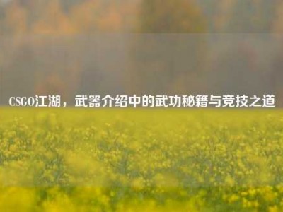 CSGO江湖，武器介绍中的武功秘籍与竞技之道