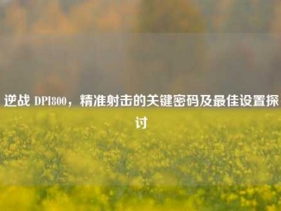 逆战 DPI800，精准射击的关键密码及最佳设置探讨