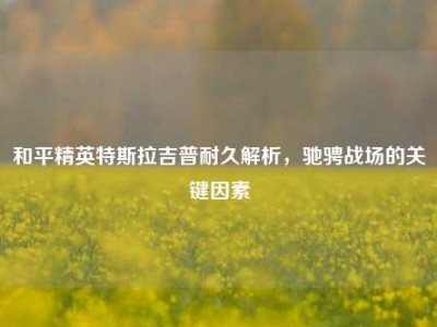 和平精英特斯拉吉普耐久解析，驰骋战场的关键因素