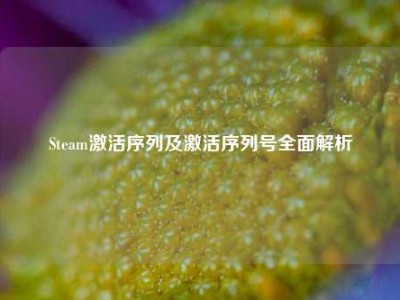 Steam激活序列及激活序列号全面解析