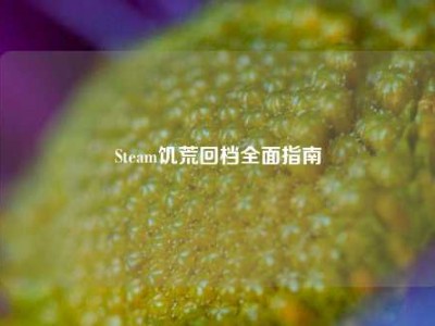 Steam饥荒回档全面指南