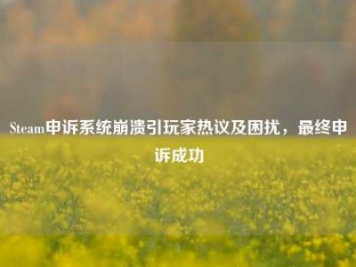 Steam申诉系统崩溃引玩家热议及困扰，最终申诉成功