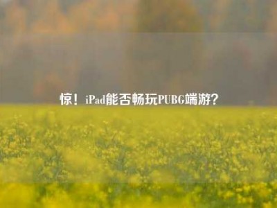 惊！iPad能否畅玩PUBG端游？