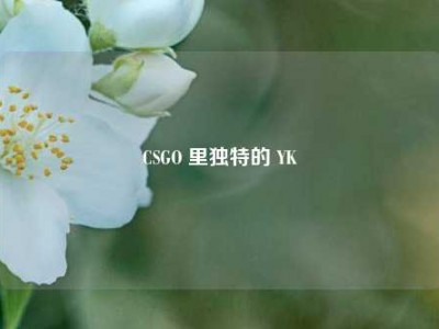 CSGO 里独特的 YK