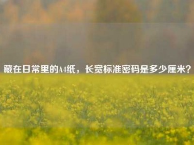藏在日常里的A4纸，长宽标准密码是多少厘米？