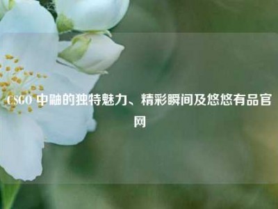CSGO 中鼬的独特魅力、精彩瞬间及悠悠有品官网