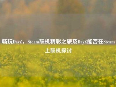 畅玩DayZ，Steam联机精彩之旅及DayZ能否在Steam上联机探讨