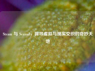 Steam 与 Seaand，探寻虚拟与现实交织的奇妙天地