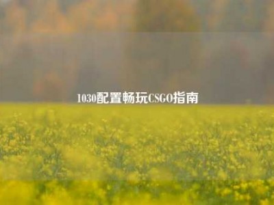 1030配置畅玩CSGO指南