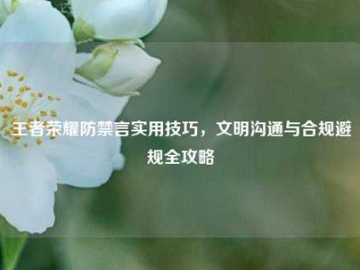 王者荣耀防禁言实用技巧，文明沟通与合规避规全攻略