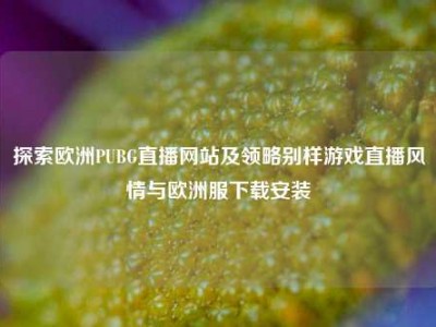 探索欧洲PUBG直播网站及领略别样游戏直播风情与欧洲服下载安装