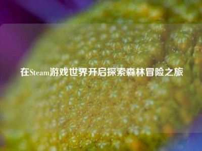在Steam游戏世界开启探索森林冒险之旅