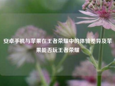 安卓手机与苹果在王者荣耀中的体验差异及苹果能否玩王者荣耀