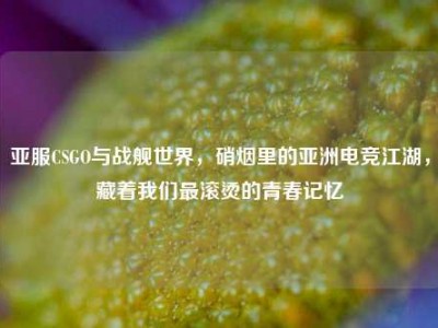 亚服CSGO与战舰世界，硝烟里的亚洲电竞江湖，藏着我们最滚烫的青春记忆
