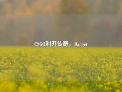 CSGO利刃传奇，Dagger