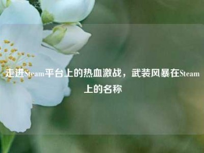 走进Steam平台上的热血激战，武装风暴在Steam上的名称