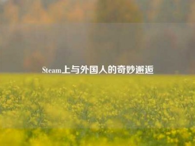 Steam上与外国人的奇妙邂逅