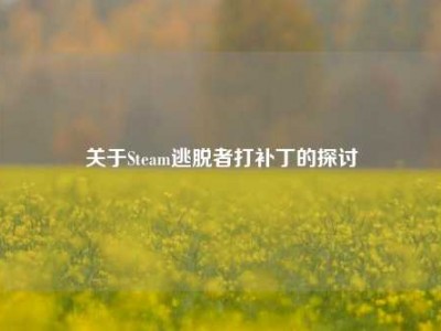 关于Steam逃脱者打补丁的探讨