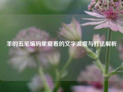羊的五笔编码里藏着的文字温度与打法解析