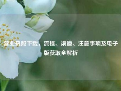 营业执照下载，流程、渠道、注意事项及电子版获取全解析