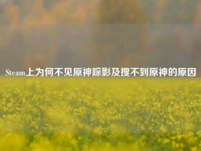 Steam上为何不见原神踪影及搜不到原神的原因