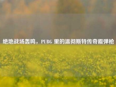 绝地战场轰鸣，PUBG 里的温彻斯特传奇霰弹枪