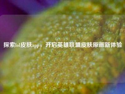 探索lol皮肤app，开启英雄联盟皮肤原画新体验