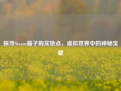 探寻Steam箱子购买地点，虚拟世界中的神秘宝藏