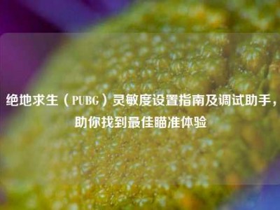 绝地求生（PUBG）灵敏度设置指南及调试助手，助你找到最佳瞄准体验
