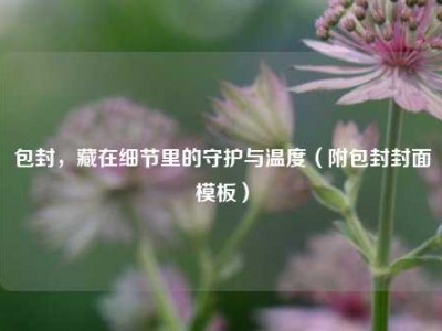 包封，藏在细节里的守护与温度（附包封封面模板）