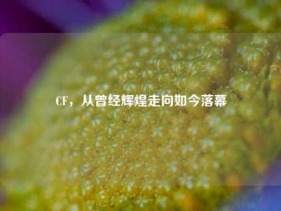 CF，从曾经辉煌走向如今落幕