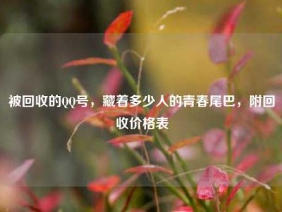 被回收的QQ号，藏着多少人的青春尾巴，附回收价格表