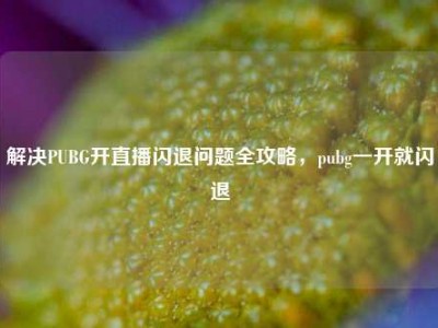 解决PUBG开直播闪退问题全攻略，pubg一开就闪退