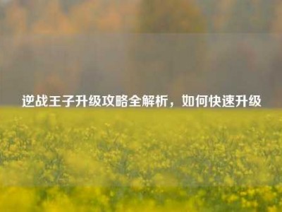 逆战王子升级攻略全解析，如何快速升级