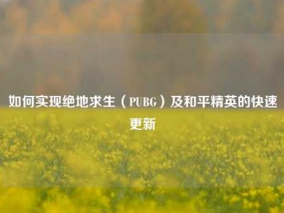 如何实现绝地求生（PUBG）及和平精英的快速更新