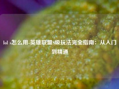 lol s怎么用-英雄联盟S级玩法完全指南：从入门到精通