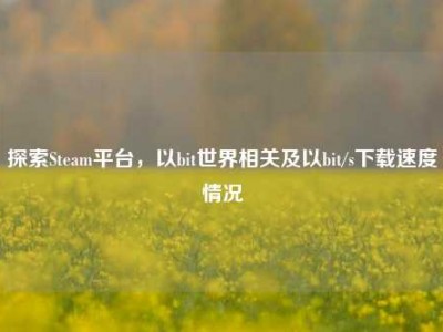 探索Steam平台，以bit世界相关及以bit/s下载速度情况