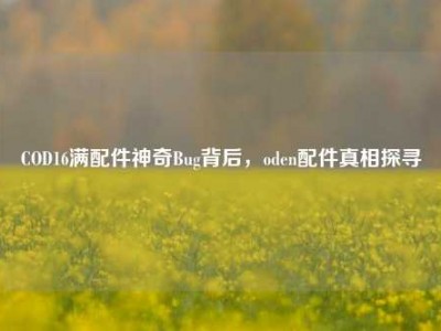 COD16满配件神奇Bug背后，oden配件真相探寻