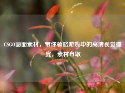 CSGO画面素材，带你领略游戏中的高清视觉盛宴，素材自取