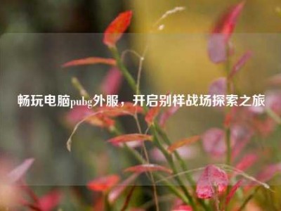 畅玩电脑pubg外服，开启别样战场探索之旅