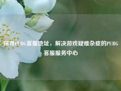 探寻PUBG客服地址，解决游戏疑难杂症的PUBG客服服务中心