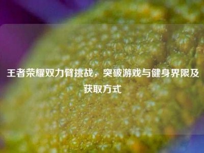 王者荣耀双力臂挑战，突破游戏与健身界限及获取方式
