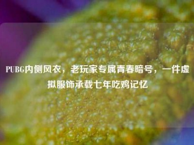 PUBG内侧风衣，老玩家专属青春暗号，一件虚拟服饰承载七年吃鸡记忆