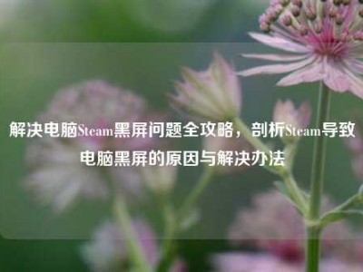 解决电脑Steam黑屏问题全攻略，剖析Steam导致电脑黑屏的原因与解决办法