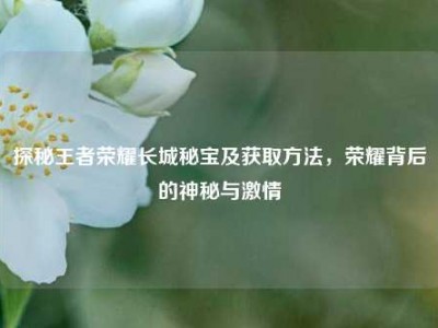 探秘王者荣耀长城秘宝及获取方法，荣耀背后的神秘与激情
