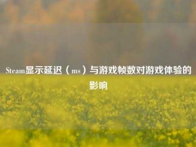 Steam显示延迟（ms）与游戏帧数对游戏体验的影响