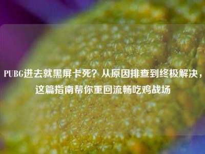 PUBG进去就黑屏卡死？从原因排查到终极解决，这篇指南帮你重回流畅吃鸡战场